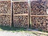 Beech Firewood - фото 1