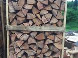 Beech Firewood - фото 2