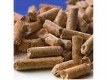 Best Quality wood pellets Bio-mass/wood pellet fuel for sale - photo 1