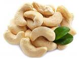 Cashew nuts - фото 1