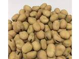 Dried Broad Beans Bulk Dry Fava Beans . . - фото 3