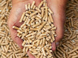 Europe Pine Wood Pellets 15kg Bags - photo 1