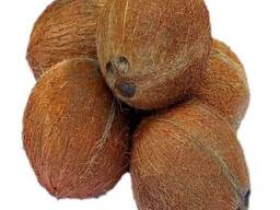 Exporter Tropical Fruit Narikel/ Fresh Coconut Mature Fully Husked/ Dried Dehusked Coconut