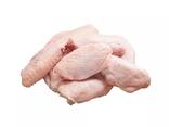 Fresh Frozen Chicken Frozen Chicken Middle 3 Joint Wing at Best Price - фото 1