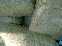 Frissen gyalult agressor káposzta 10 kg-os kiszerelésben