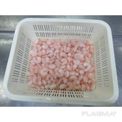 Frozen Vannamei Shrimp Origin Europe