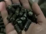 Fuel pellets from sunflower husks/Üzemanyag-pellet napraforgóhéjból - photo 1