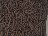 Fuel Pellets from Sunflowers, Flax, Cotton. - фото 1