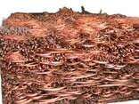 Good Price Pure 99.98% Copper Wire Scrap for Wholesales Copper Scrap - photo 3