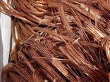 Best Quality Of Copper Wire Scrap 99.99% / Copper Metal Scraps At Low Prices - photo 3