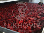 Инфракрасная сушильная камера для продуктов питания Sukhoviy - фото 3