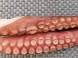 Мороженная рыба и морепродукты в Венгрию от производителя из КНР - photo 10
