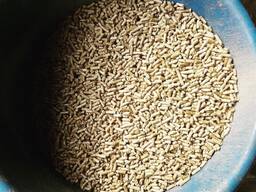 Natural Pine Wood Wood Pellets