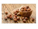 Natural Taste Quality Blanched Hazelnut/Hazel Nut at Low Price - фото 3