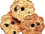 Oatmeal biscuits in range - фото 2