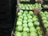 Polish apples (wide range of varieties) - фото 10