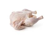 Premium Grade Whole Fresh Frozen Chicken in a Best Rate - фото 3