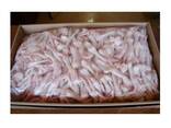 Premium Quality Halal Frozen Chicken Feet | Frozen Chicken Paws Bulk Stock At Wholesale - фото 1
