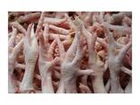 Premium Quality Halal Frozen Chicken Feet | Frozen Chicken Paws Bulk Stock At Wholesale - фото 2