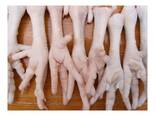 Premium Quality Halal Frozen Chicken Feet | Frozen Chicken Paws Bulk Stock At Wholesale - фото 3