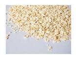 Premium Quality Wholesale Large Flake Rolled Oats / Instant Oats - фото 3