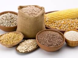 Продаж різних зернових культур (пшениця, кукурудза, соя та ін. )