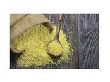 Pure Quality Organic Millet Grains Wholesale Supplier Bulk Online Sale - фото 1