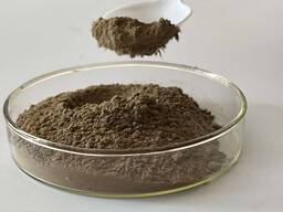 Spongilla powder – FreshSponge Export