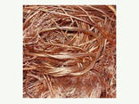 Top High Quality Copper Wire Scrap 99% for sale - фото 1