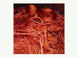Top High Quality Copper Wire Scrap 99% for sale - фото 2