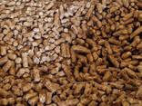 Wood pellets | Manufacturer | 1000 tons p. m. | Eco-fuel | Ultima - фото 2
