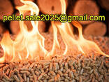 Fa pellet pellet Gyártó EXPORT - photo 1