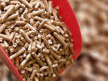 Wood pellets wholesale Outlet cheap bulk biomass wood fuel pellets - фото 2